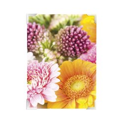 Monteringshjrner Maxi View Transparent 