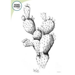 Sketch Studio Kit - intermediate 