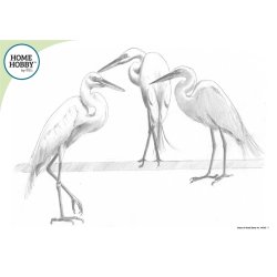 Sketch Studio Kit - intermediate 