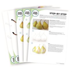 Akvarel Kunst St Plus  Tre Prer af Kristin Ranney  Begynder