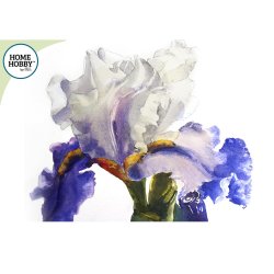 Akvarel Kunst St Plus  Iris af Robin Berry  vet