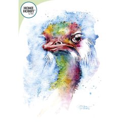 Watercolor Studio Kit Plus  Ostrich by Gerard Hendriks  Advanced